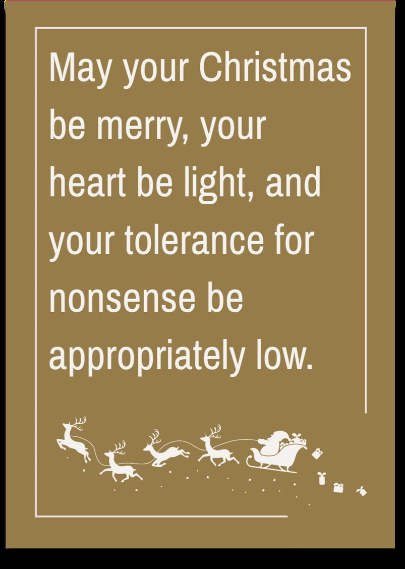 May your Christmas be merry, your heart be light, and your tolerance for nonsense be appropriately low.