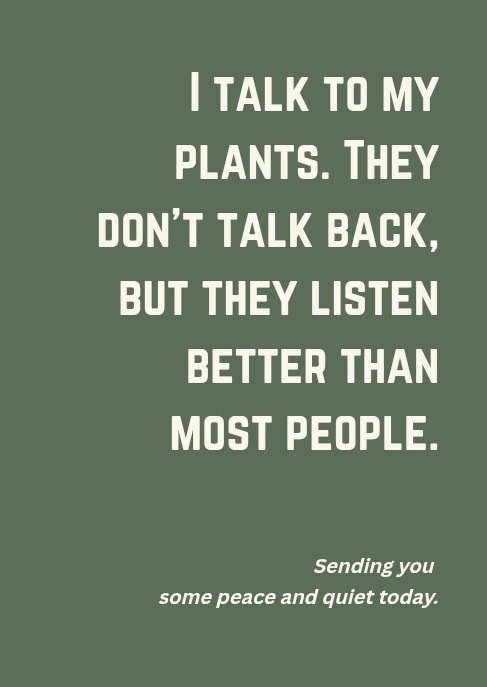 I talk to my plants. They don't talk back, but they listen better than most people. Sending you some peace and quiet today.