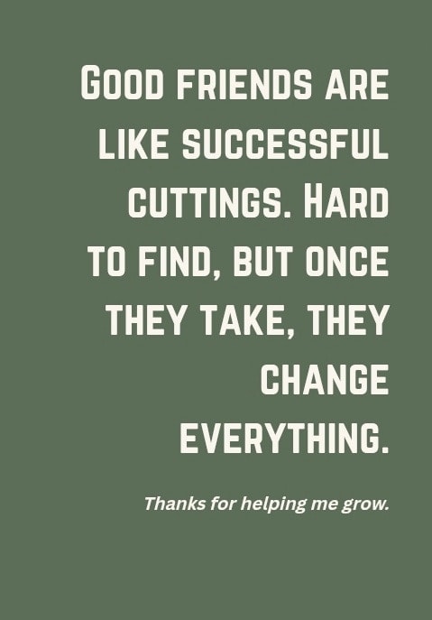 Good friends are like successful cuttings. Hard to find, but once they take, they change everything. Thanks for helping me grow.